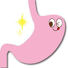 胃の疲労を回復させる食べ物