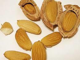 オレイン酸の健康効果