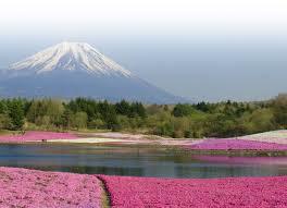 海への旅行はメンタルに効く！