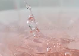 海洋性コラーゲンを摂ろう